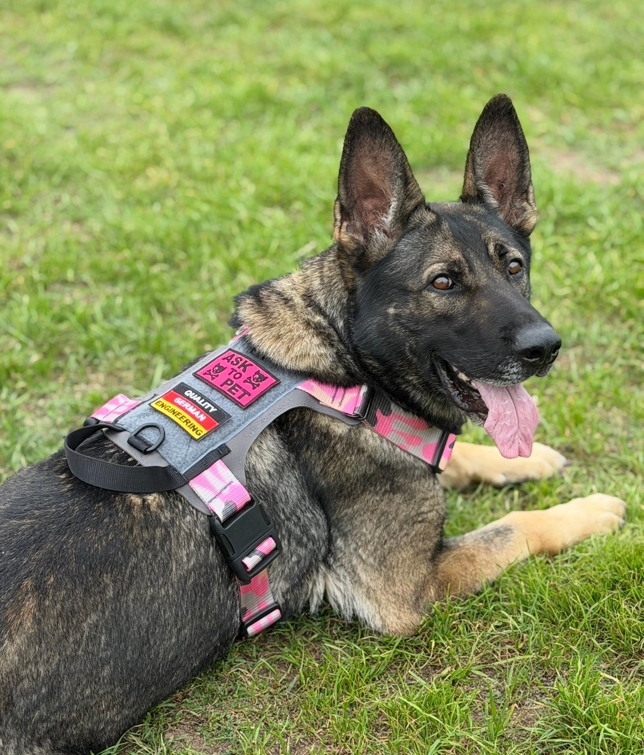 K9R M1 LightSpeed Dog Harness – Large | Made in USA, Lifetime Warranty, 5-Point Adjustment, 3 Leash Points | Adventure, Working & Training Harness