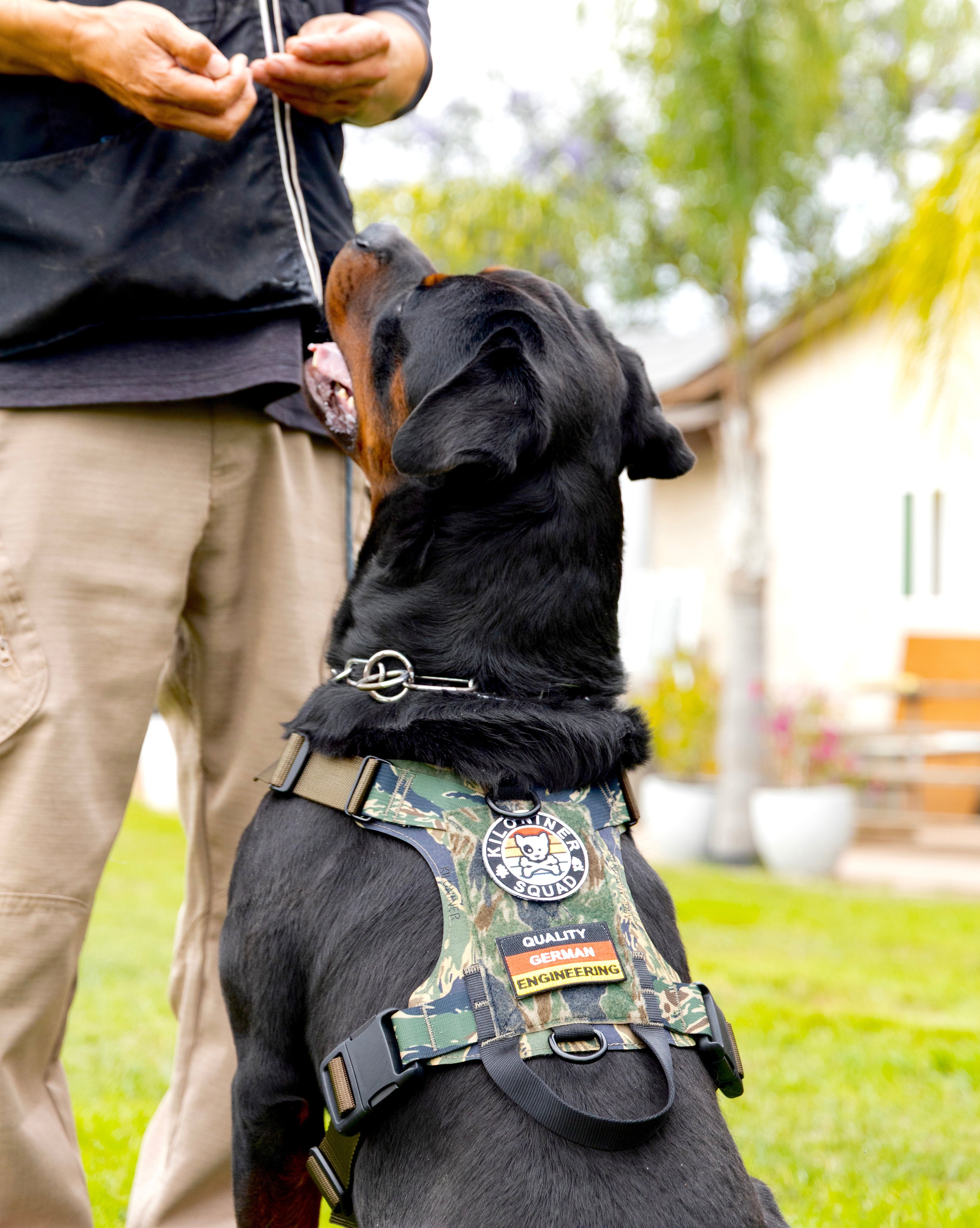 K9R M1 LightSpeed Dog Harness – Large | Made in USA, Lifetime Warranty, 5-Point Adjustment, 3 Leash Points | Adventure, Working & Training Harness