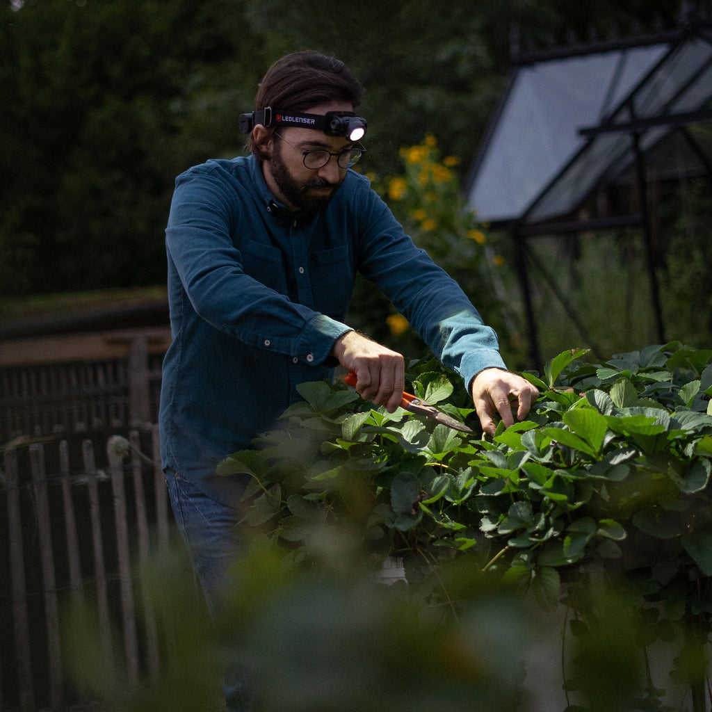 Ledlenser H7R Core Rechargeable Headlamp – IP67 Waterproof, Magnetic Charging, Advanced Focus System | Roadside Emergencies, Camping & Family Safety