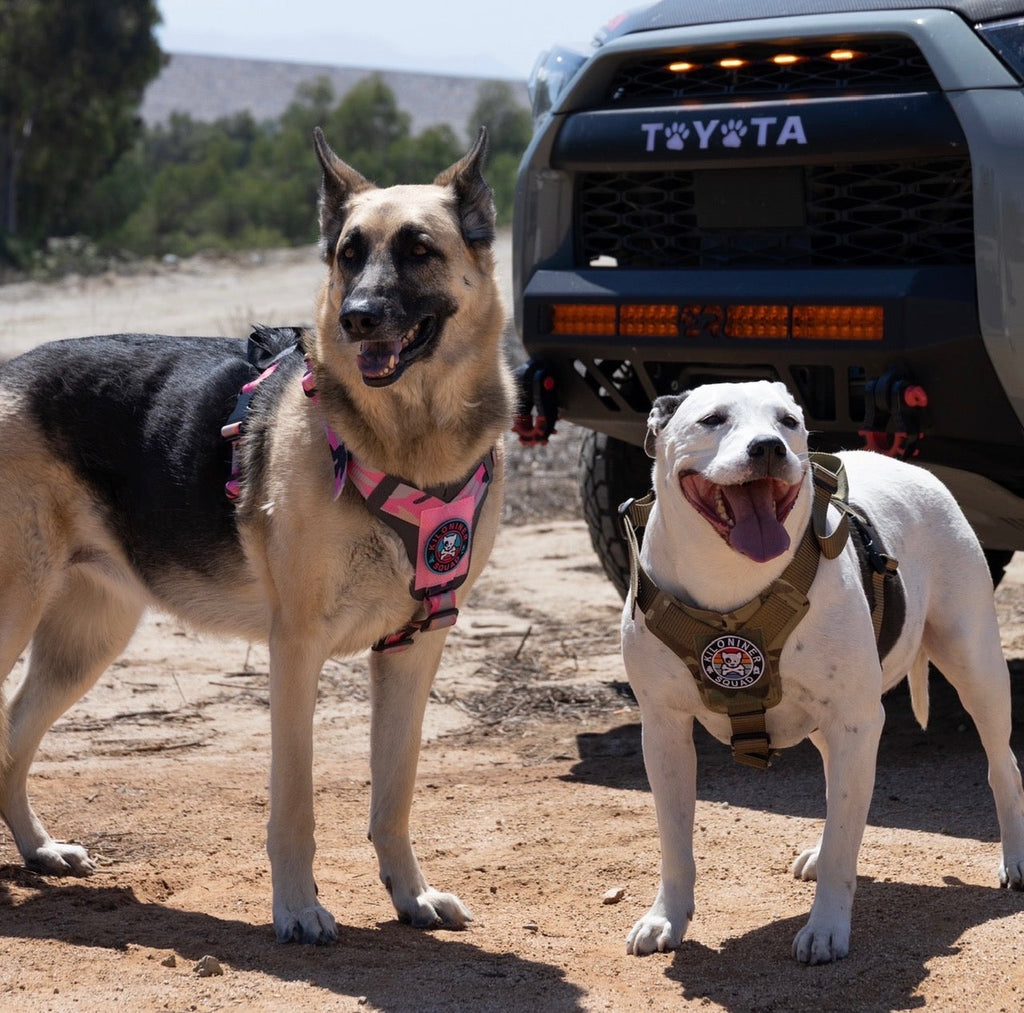 K9R M1 LightSpeed Dog Harness – Large | Made in USA, Lifetime Warranty, 5-Point Adjustment, 3 Leash Points | Adventure, Working & Training Harness