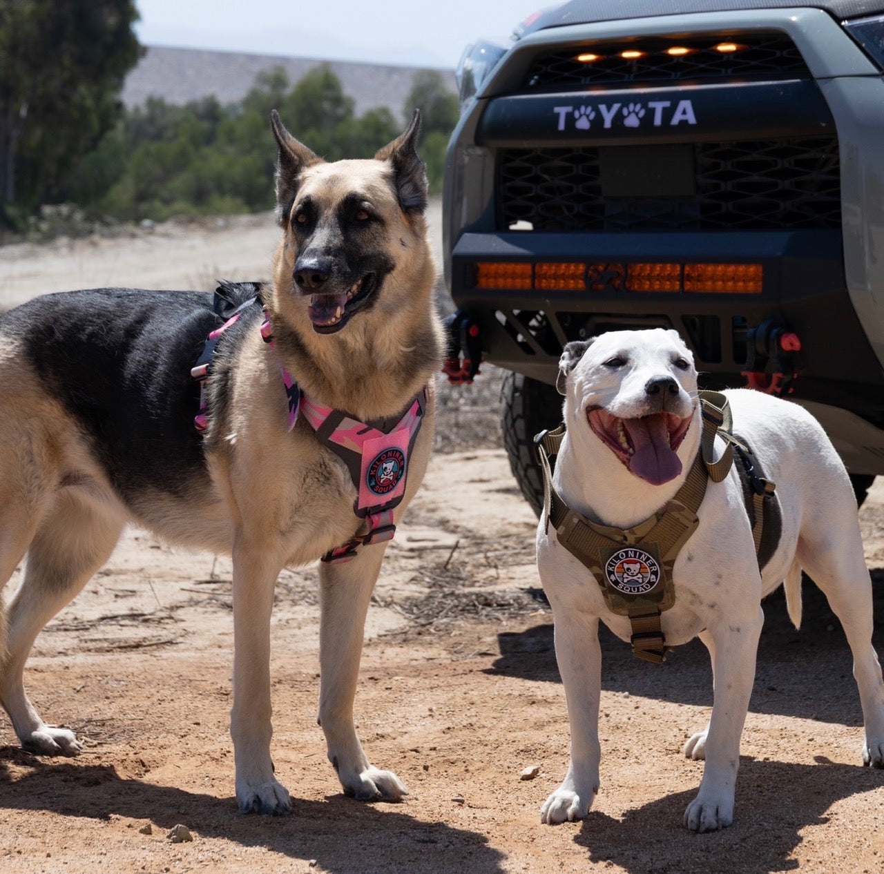 K9R M1 LightSpeed Dog Harness – Large | Made in USA, Lifetime Warranty, 5-Point Adjustment, 3 Leash Points | Adventure, Working & Training Harness