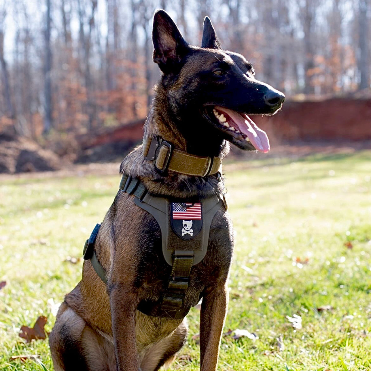 K9R M1 LightSpeed Dog Harness – Large | Made in USA, Lifetime Warranty, 5-Point Adjustment, 3 Leash Points | Adventure, Working & Training Harness